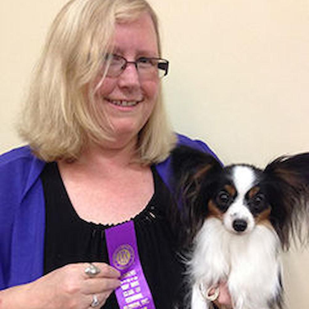 Doozy Shines at Orlando Toy Dog Show!