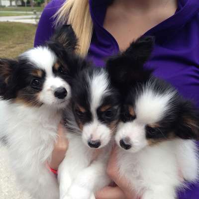 Doozy November litter